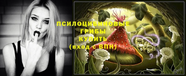 бошки Калининец