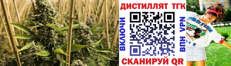 ТГК THC oil  где купить   Бакал 