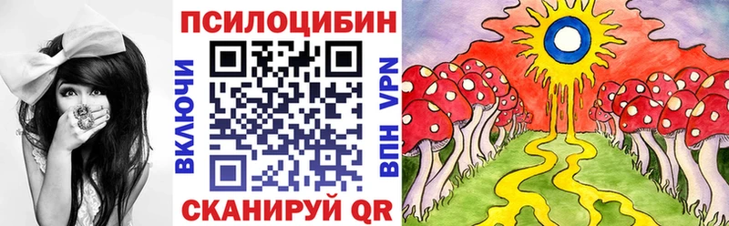 hydra ссылки  Бакал  Псилоцибиновые грибы мицелий 